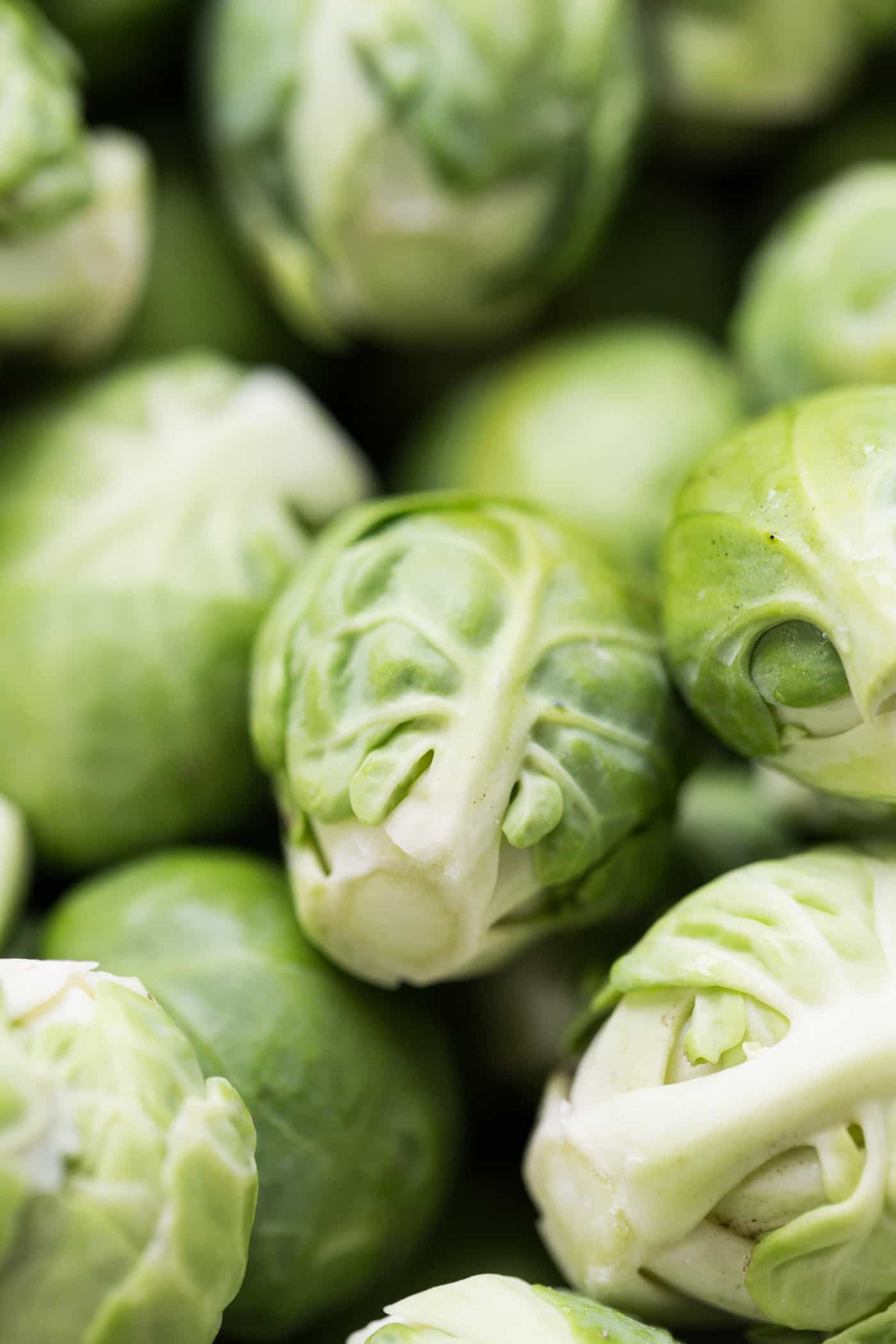 Roasted Brussels Sprout Quinoa Salad Simply Quinoa
