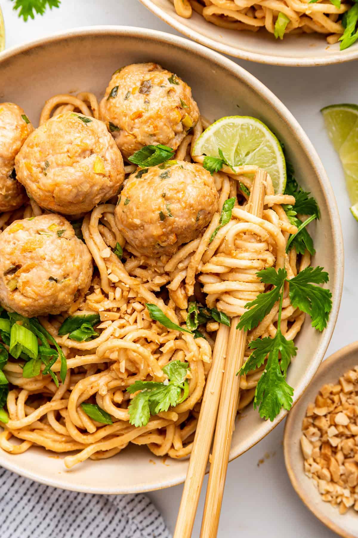 Asian Turkey Meatballs