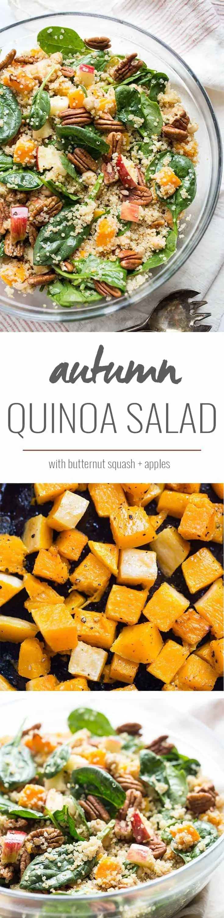 A simple fall quinoa salad packed with roasted butternut squash, chopped apples, pecan and spinach!