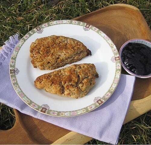Plate of two mixed berry scones.