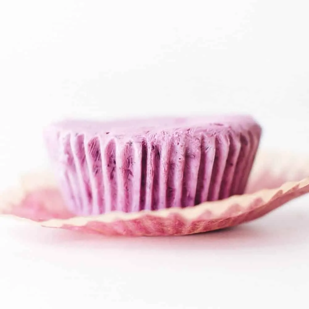 vegan blueberry lemon froyo bites- Feasting on Fruit