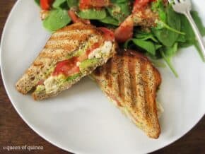 Grilled chicken and avocado panini on a plate.