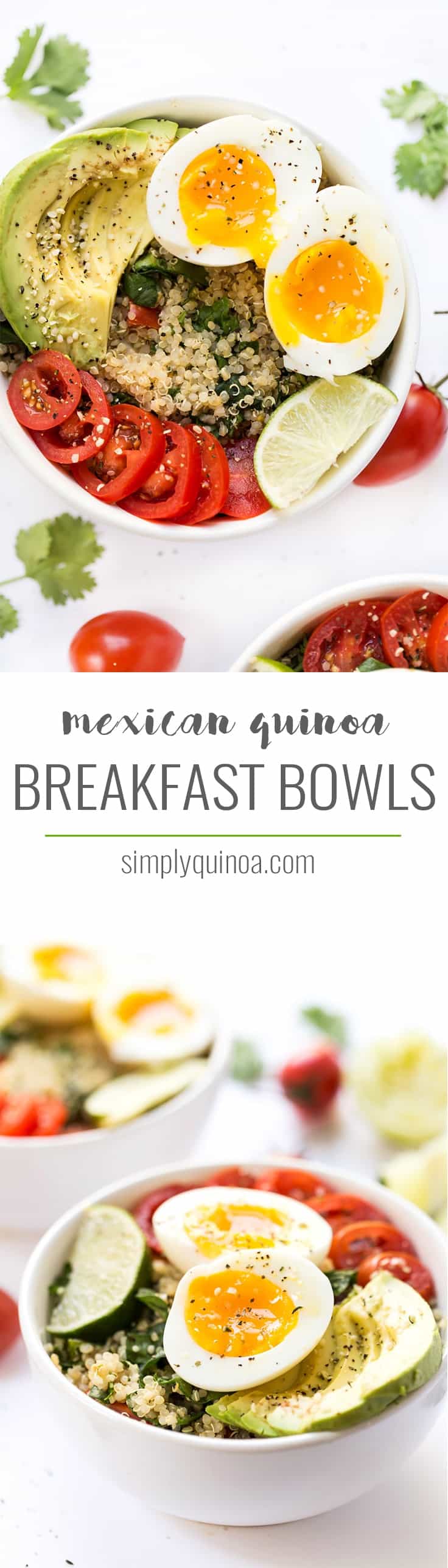 These Mexican Quinoa Breakfast Bowls are the perfect way to start your day! Protein-packed, with creamy avocado, cilantro-lime quinoa and soft boiled eggs!