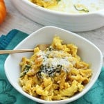 Bowl of pumpkin and chicken baked pasta.