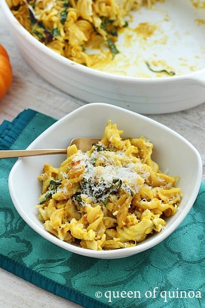Bowl of pumpkin and chicken baked pasta.