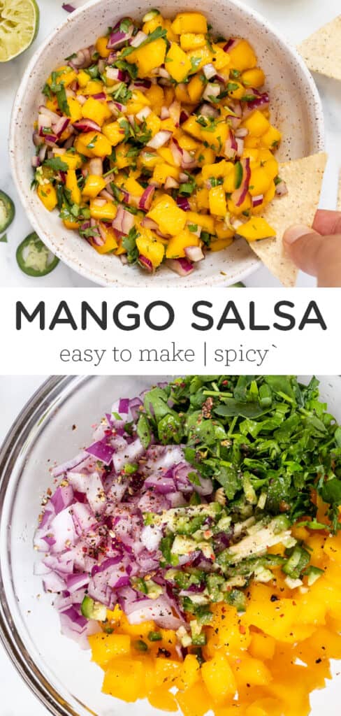 Spicy Mango Salsa