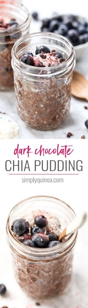 dark chocolate chia pudding with hemp seeds