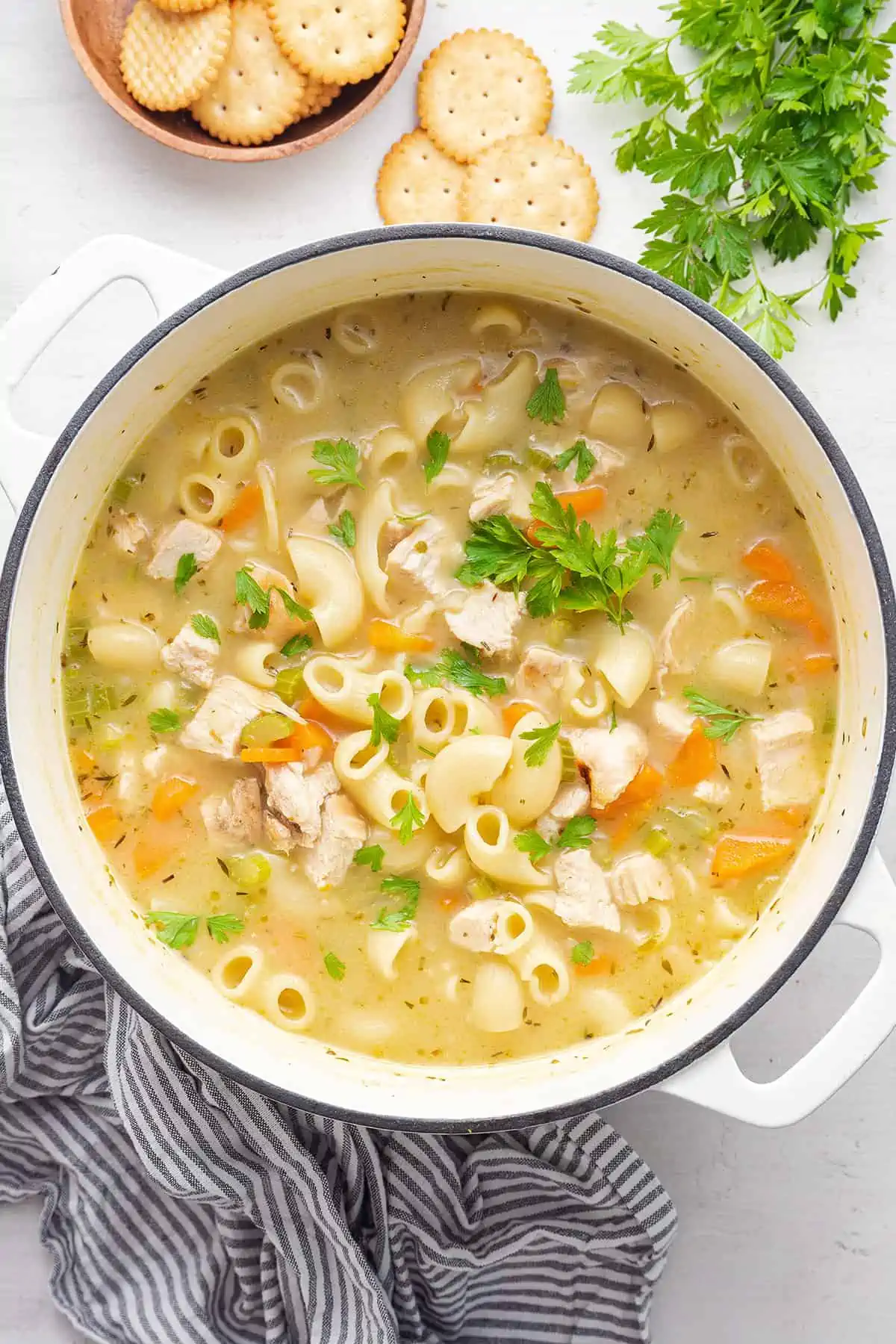 Overhead view of a dutch oven filled with chicken noodle soup, garnished with parsley