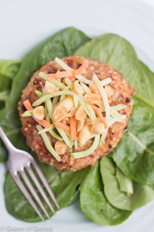 Chicken Pad Thai Quinoa Burgers