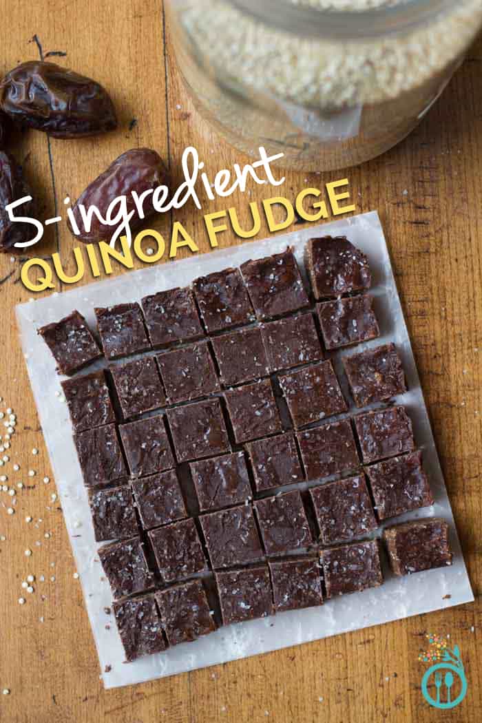5-Ingredient Vegan Fudge Recipe using quinoa and other wholesome foods
