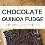 5-Ingredient Vegan Fudge Recipe using QUINOA - this fudge is gluten-free, dairy-free, nut-free & refined sugar-free too!