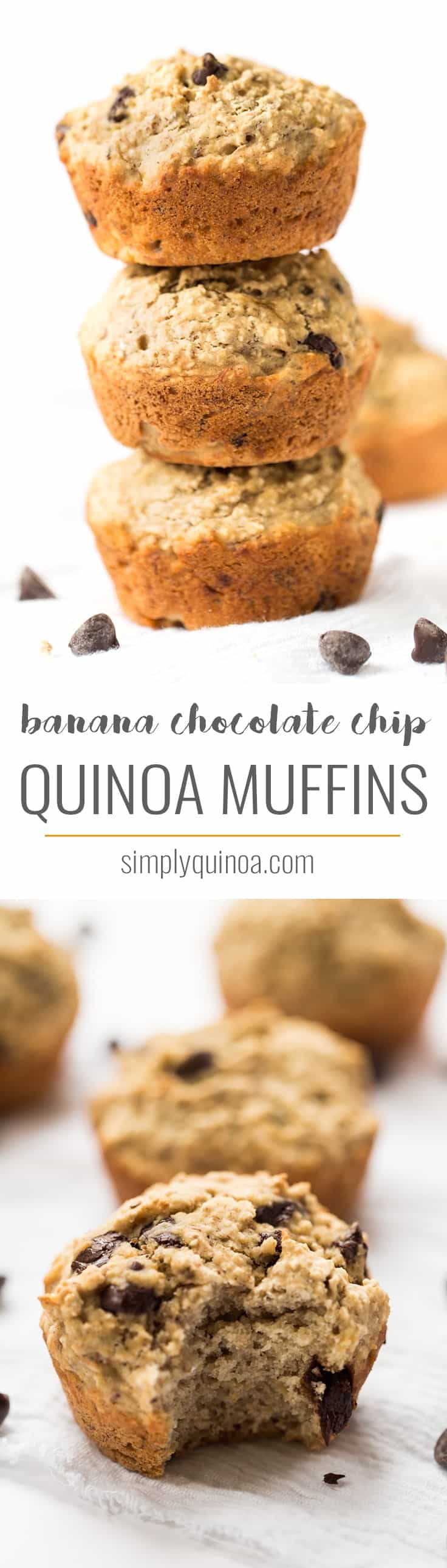 Perfectly soft and tender, these skinny banana chocolate chip muffins are naturally gluten-free and vegan, studded with dark chocolate chips and sweetened with banana!