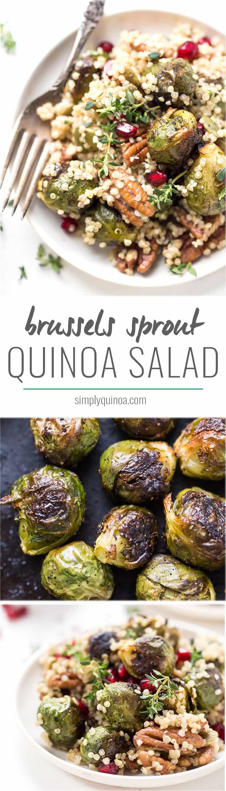 This AMAZING Roasted Brussels Sprout Quinoa Salad is the perfect side dish for your holiday feast. Simple, pretty, and oh so flavorful!