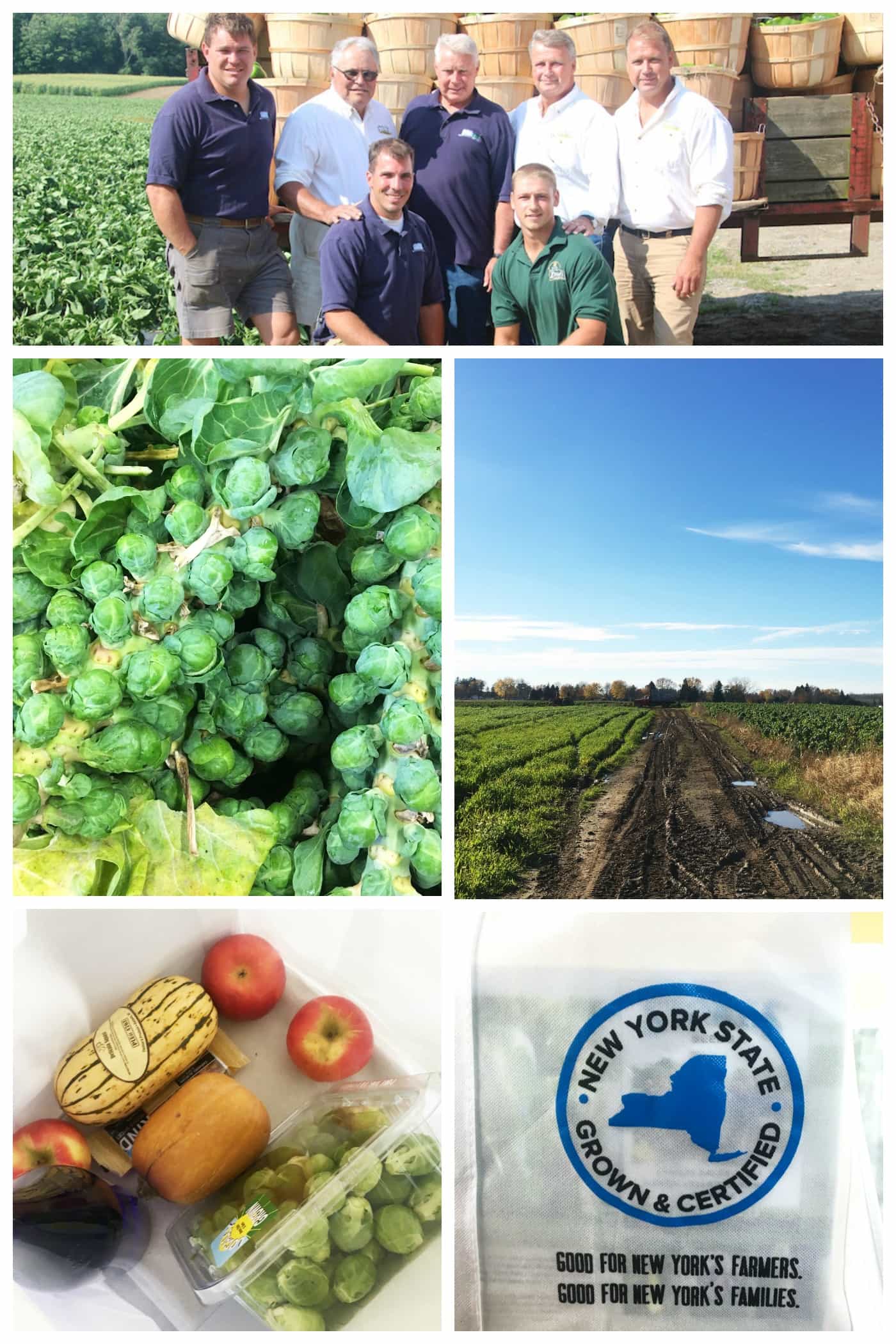 Touring the Amos Zittel & Sons farm in Eden, NY