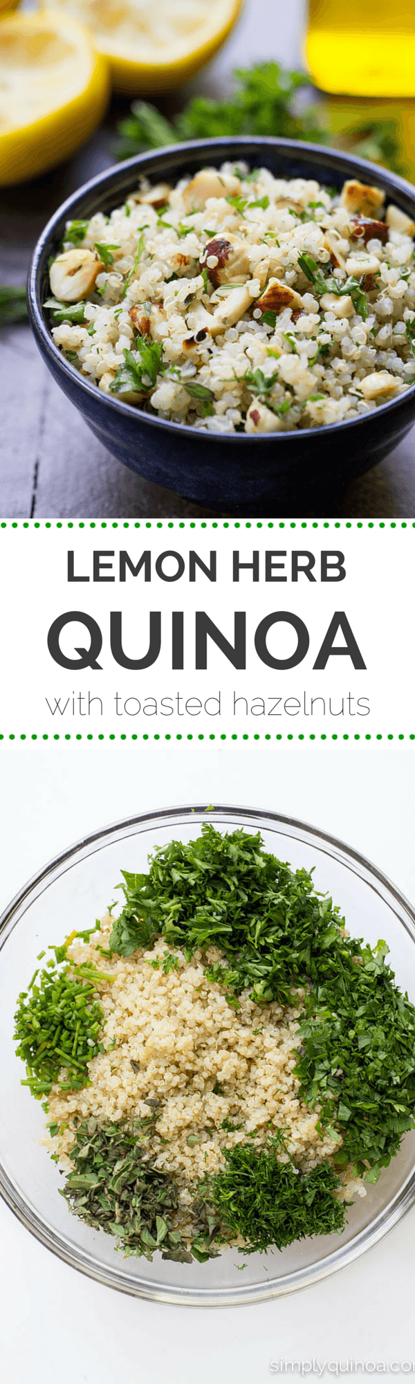 Lemon Herb Quinoa Salad with Toasted Hazelnuts - fresh, light and packed full of flavor | simplyquinoa.com