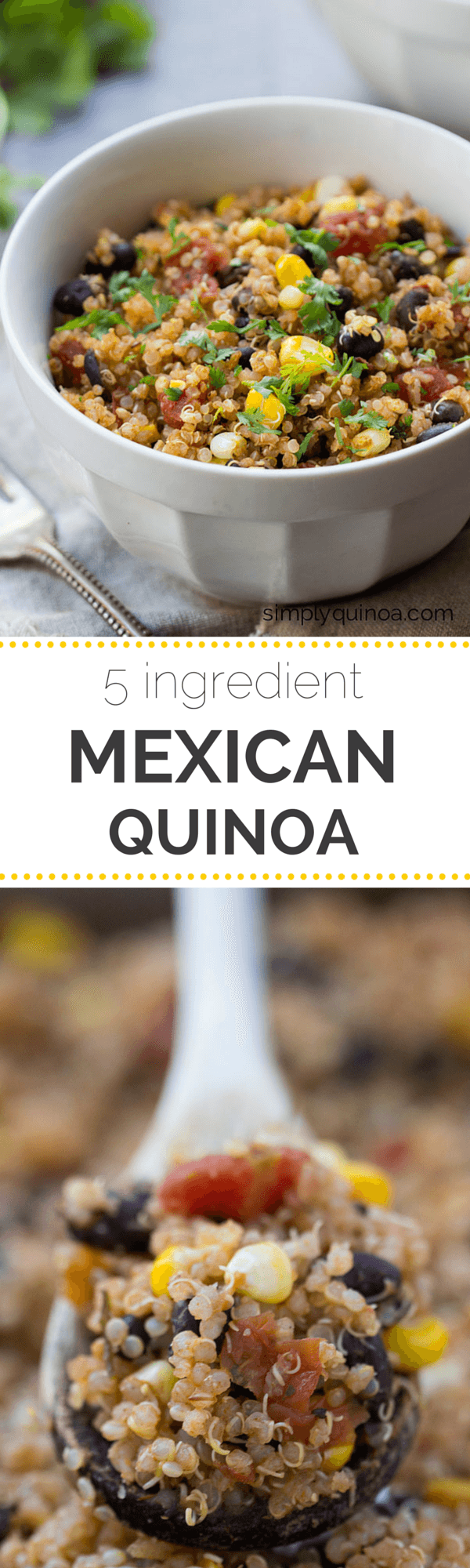 Mexican Quinoa Recipe (Dairy Free, Vegan) - Simply Whisked