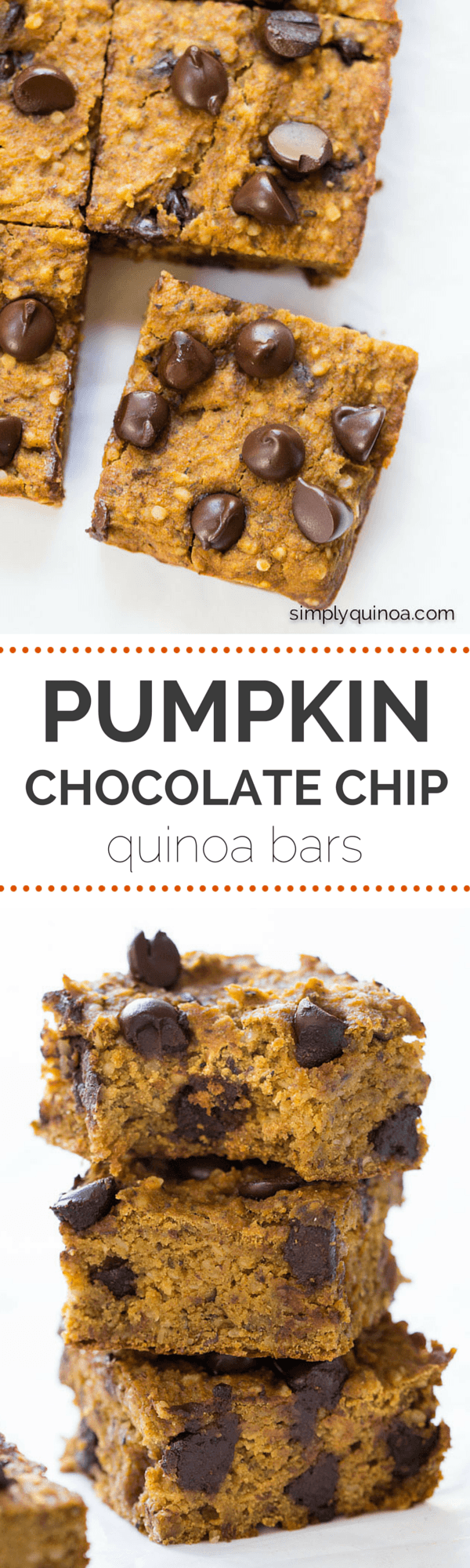 AMAZING pumpkin chocolate chip quinoa bars are packed with protein, naturally sweetened and low in fat! | gluten-free + vegan | simplyquinoa.com