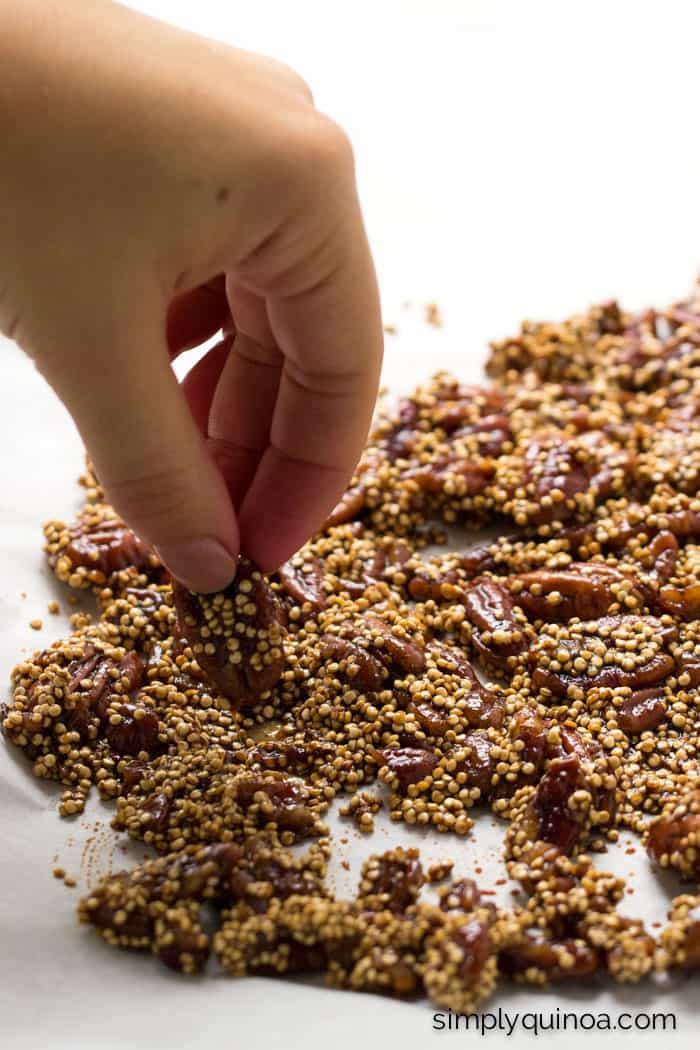 Easy candied pecans using coconut sugar instead of cane sugar! They're easy, healthy and delicious!