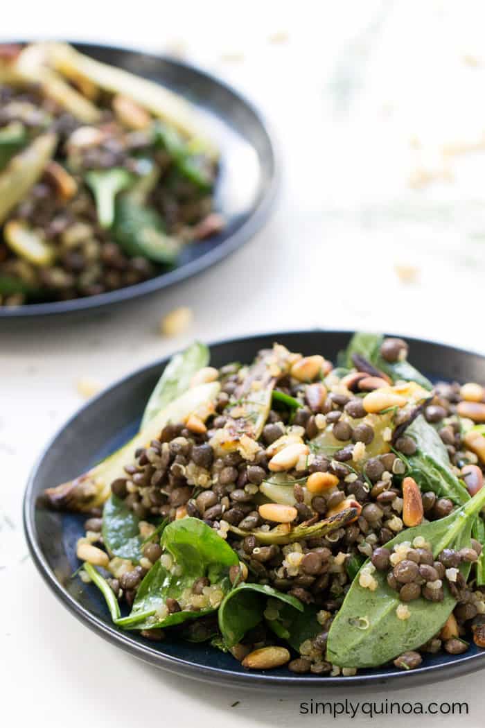 This warm lentil salad is tossed with a ton of other goodies to make it extra flavorful + delicious: quinoa, roasted fennel, spinach AND toasted pine nuts