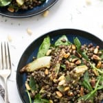 Warm Lentil Salad with spinach, quinoa, roasted fennel + toasted pine nuts - this is seriously the most addicting salad ever!