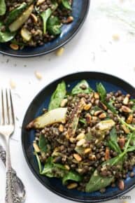 Warm Lentil Salad with spinach, quinoa, roasted fennel + toasted pine nuts - this is seriously the most addicting salad ever!