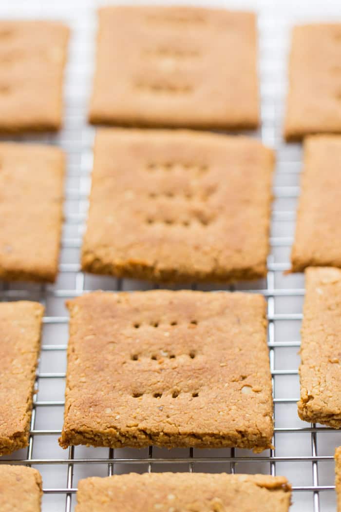 Gluten-Free Honey Graham Crackers - perfect for dunking into a jar of nut butter OR making a tasty s'mores!