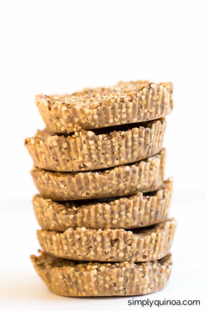 5-Ingredient Toasted Coconut Quinoa Bites -- the perfect snack (or dessert) when you need something healthy and only a little bit sweet [gluten-free + vegan]