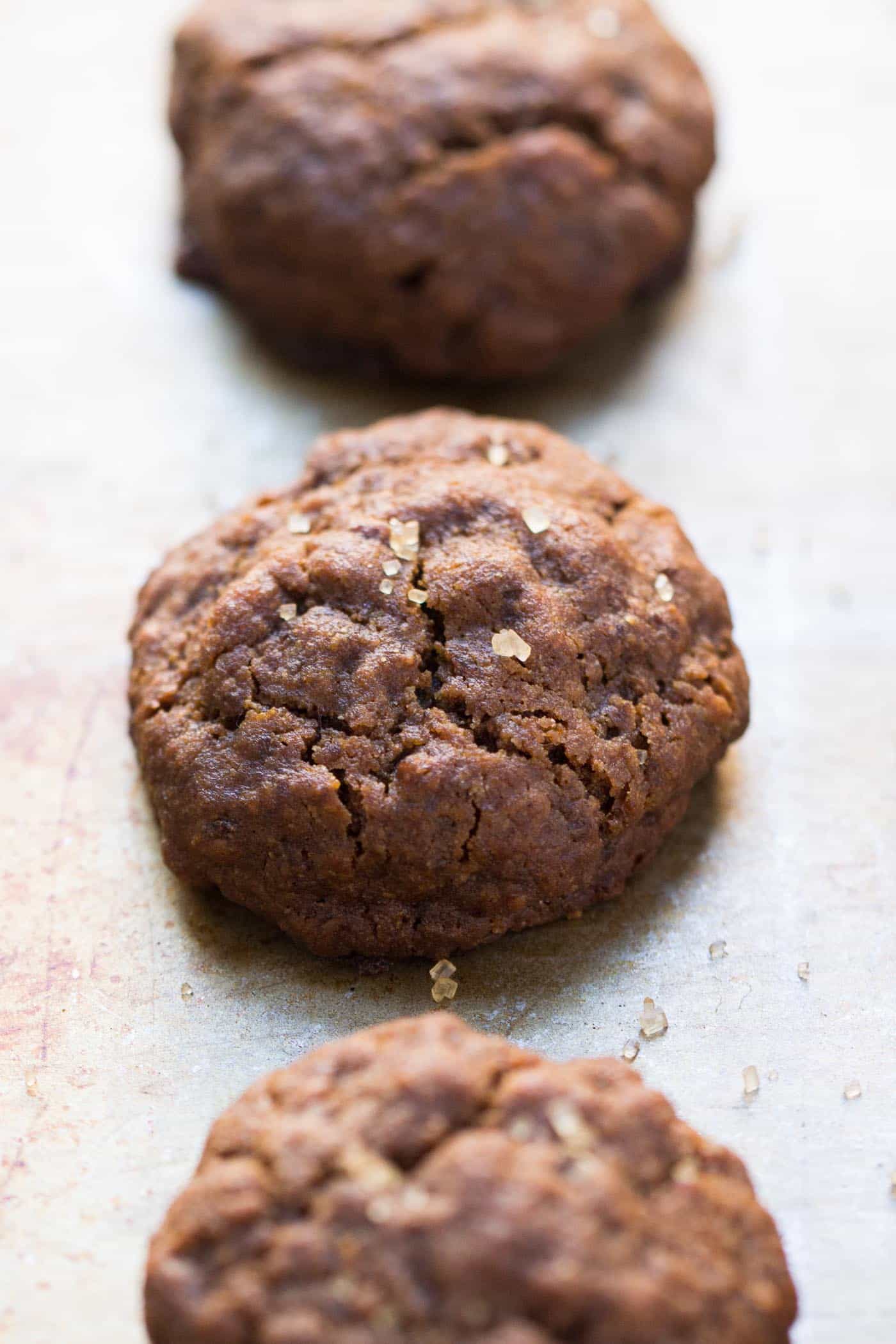 Gluten-Free + Vegan Gingersnaps -- the perfect holiday cookie for all your allergy-free friends + family