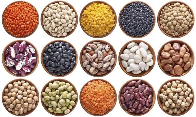 Image of all pulses