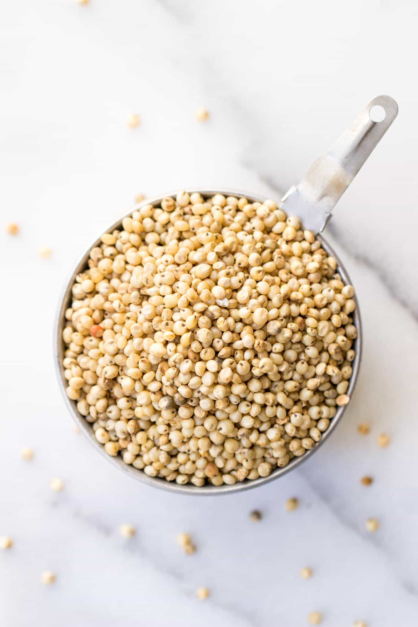 SORGHUM: one of the six staple whole grains you should have you in your pantry!