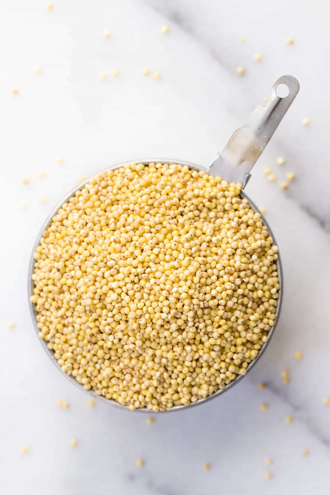 MILLET: one of the six staple whole grains you should have you in your pantry!