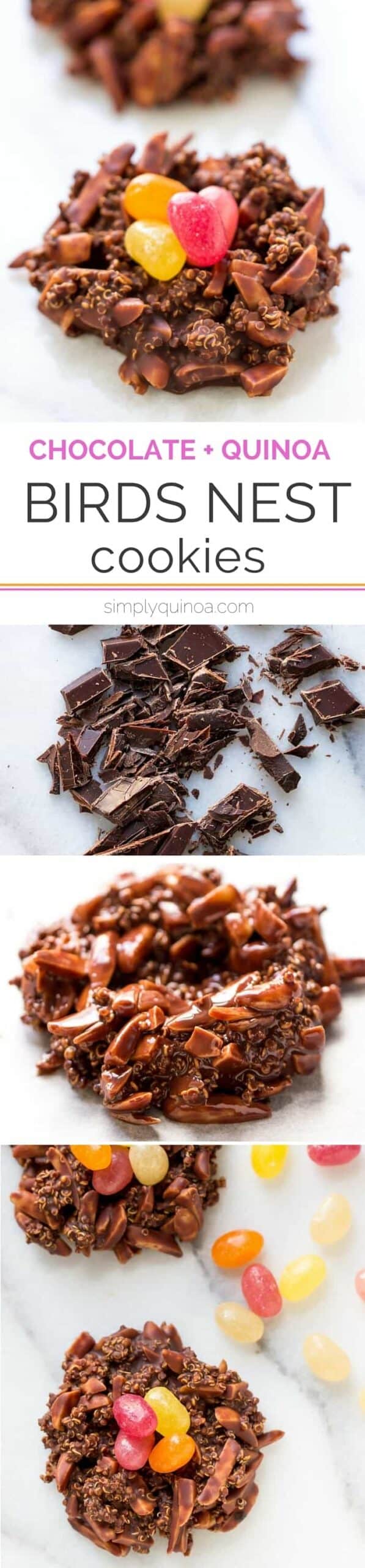 Dark Chocolate Quinoa Birds Nest Cookies