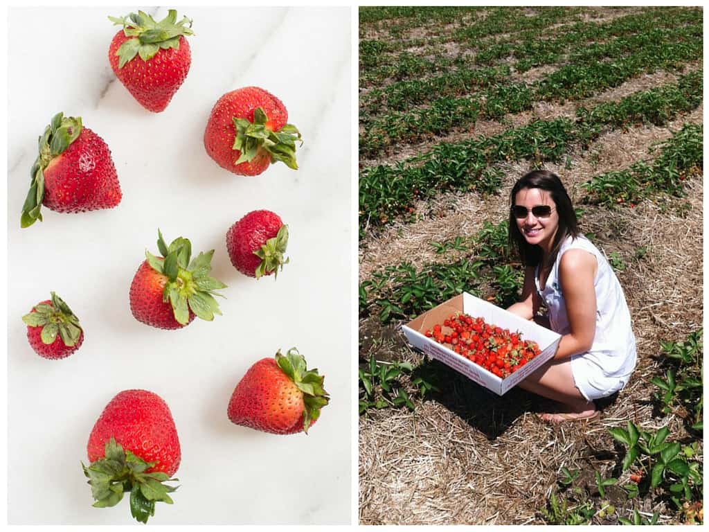 FRESH LOCAL STRAWBERRIES -- the perfect addition to these healthy quinoa breakfast bars!