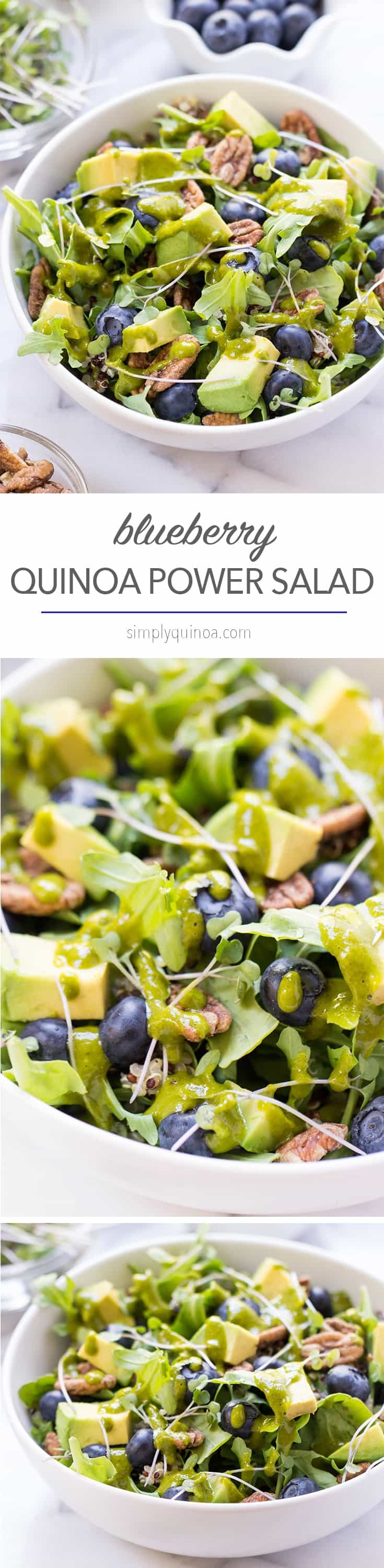 Blueberry Quinoa Power Salad -- packed with antioxidants, plant-based protein and perfect for detoxing! 