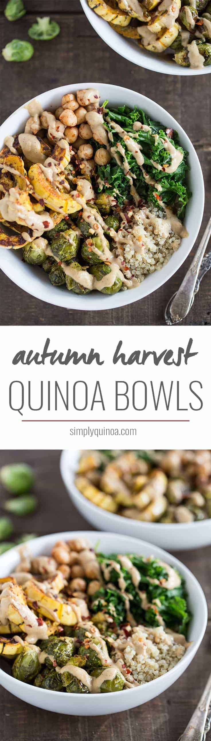 These warm Harvest Quinoa Bowls are packed with fall produce, protein-packed quinoa and drizzled with a creamy tahini dressing!