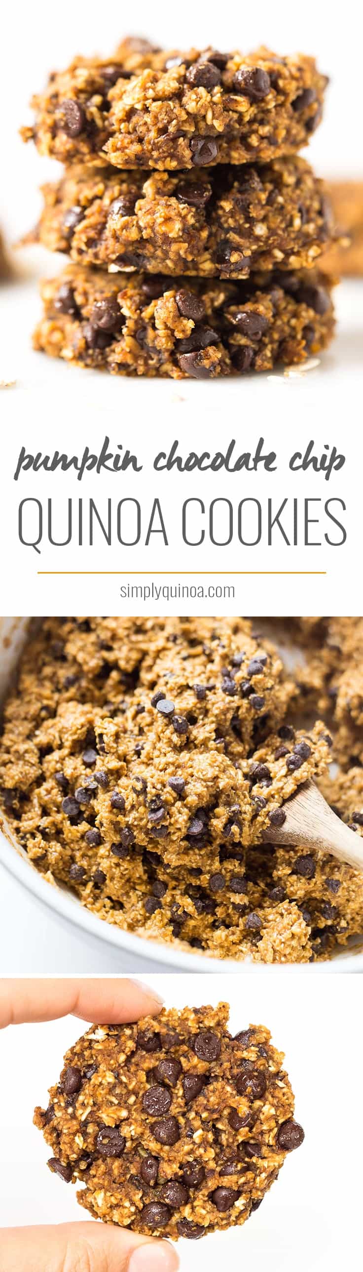 Pumpkin Chocolate Chip Cookies >> moist, tender, chewy and SUPER healthy!! NO butter, oil, gluten, dairy, eggs OR refined sugar!
