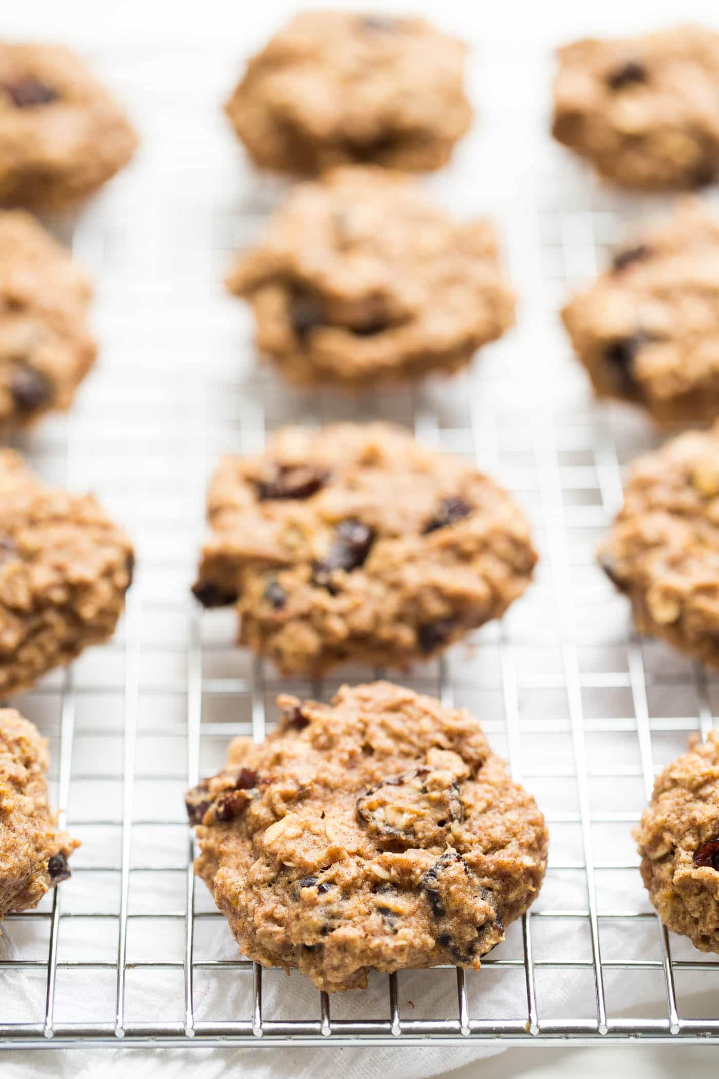 Cranberry Orange Quinoa Breakfast Cookies made in just one bowl, packed with nutrition and naturally gluten-free & vegan!