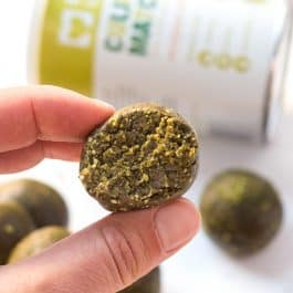 vegan matcha energy balls with culinary matcha powder