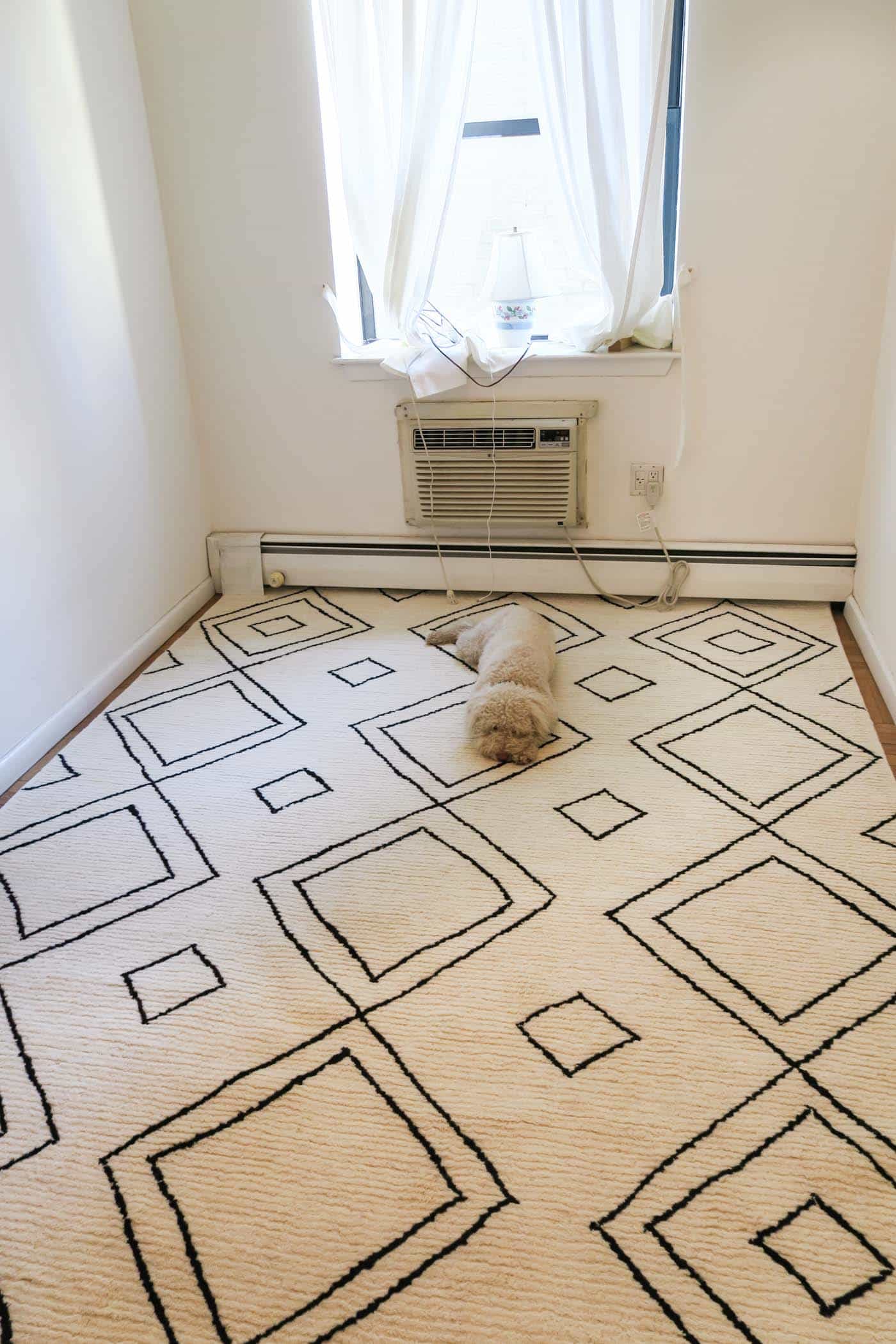 Contemporary Wool Rug from RugsUSA