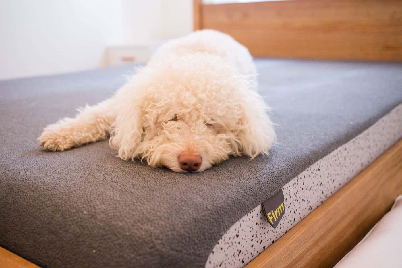 Non Toxic Mattress from OSO Sleep