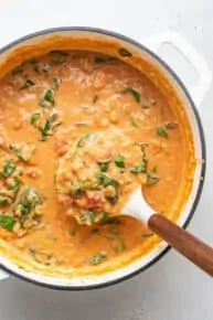 ladle of quinoa creamy soup with spinach