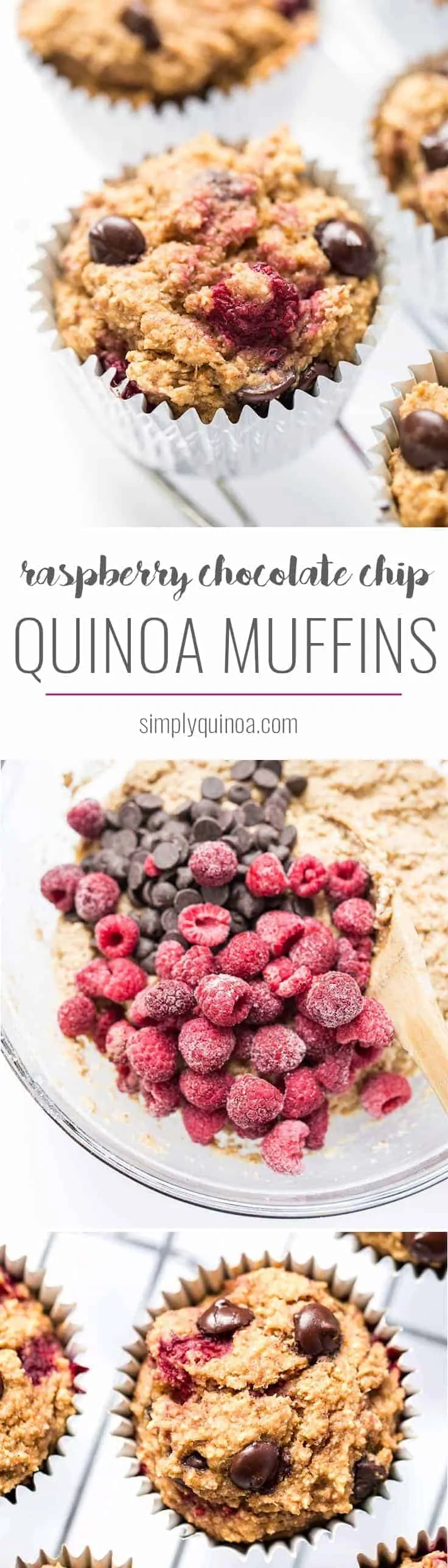 Healthy Raspberry Chocolate Chip Quinoa Muffins - sweetened naturally, made without any oils, AND they're gluten-free + vegan