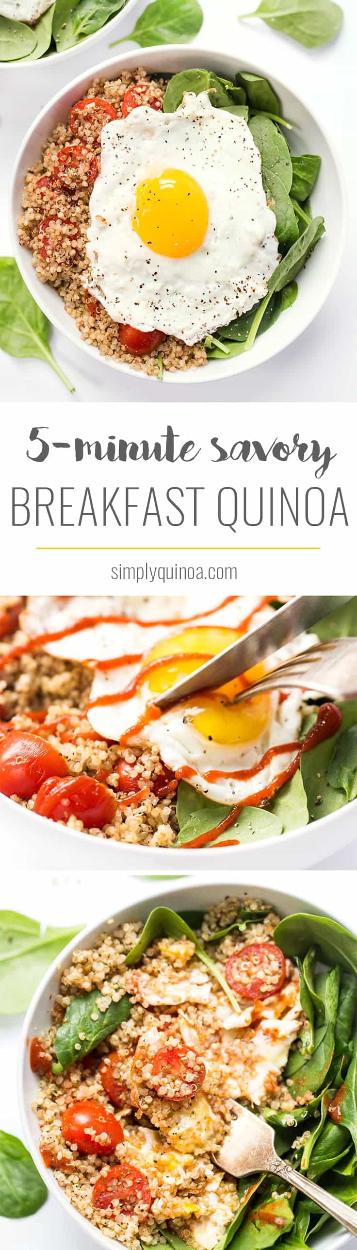 These SAVORY Quinoa Breakfast Bowls take just 5 minutes to make and are packed with healthy ingredients >> spinach, tomatoes and fried eggs make this a protein-packed breakfast!