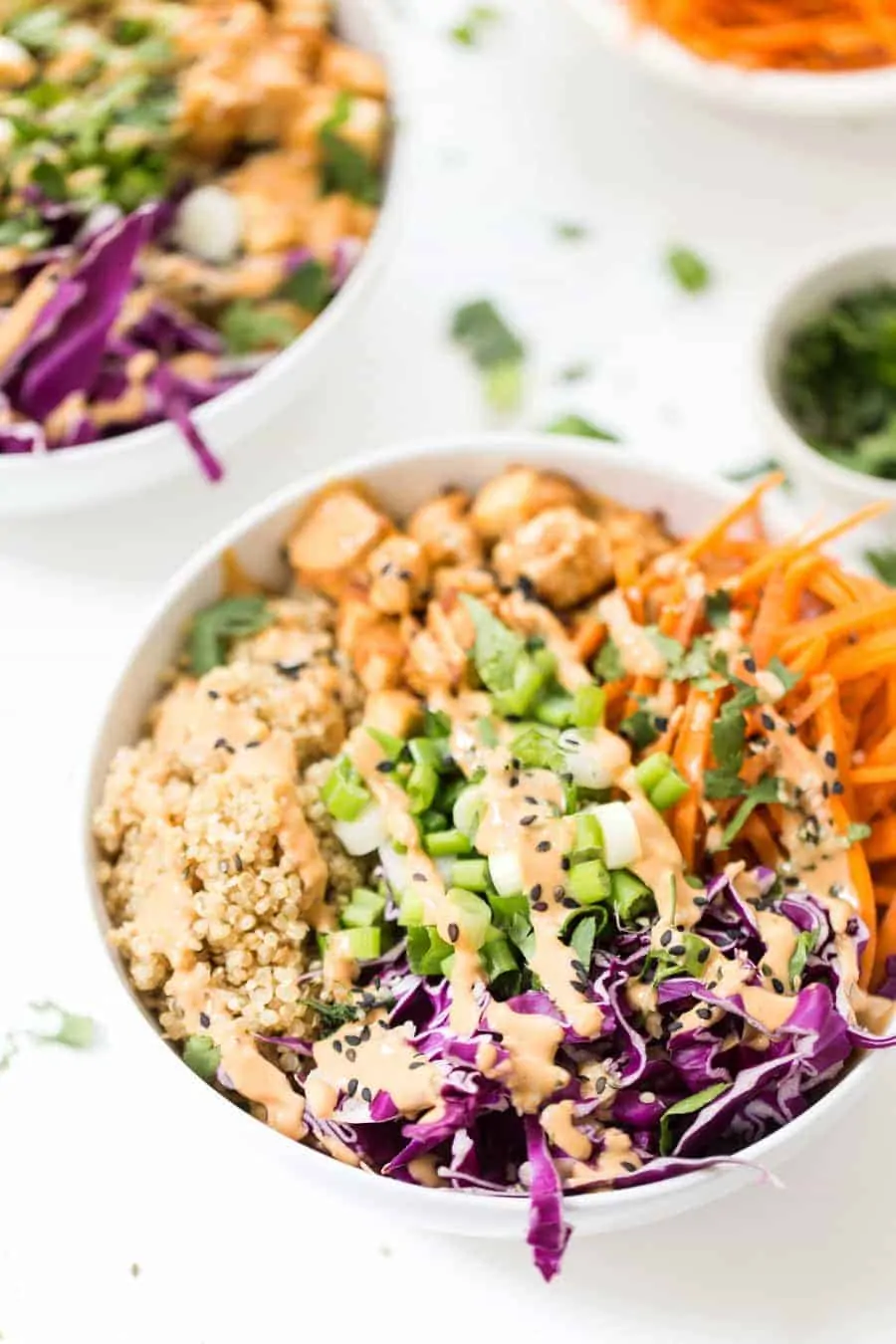 Kick your dinner up a notch with these Asian Quinoa Bowls! Combining fluffy ginger quinoa, crunchy veggies, crispy baked tofu and a creamy peanut sauce, it's flavorful, healthy and delish!