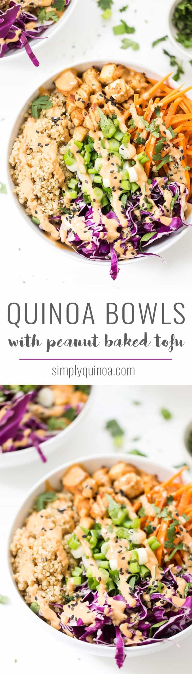 Kick your dinner up a notch with these ASIAN QUINOA BOWLS! With fluffy ginger quinoa, crunchy veggies, crispy baked tofu and a creamy peanut sauce!