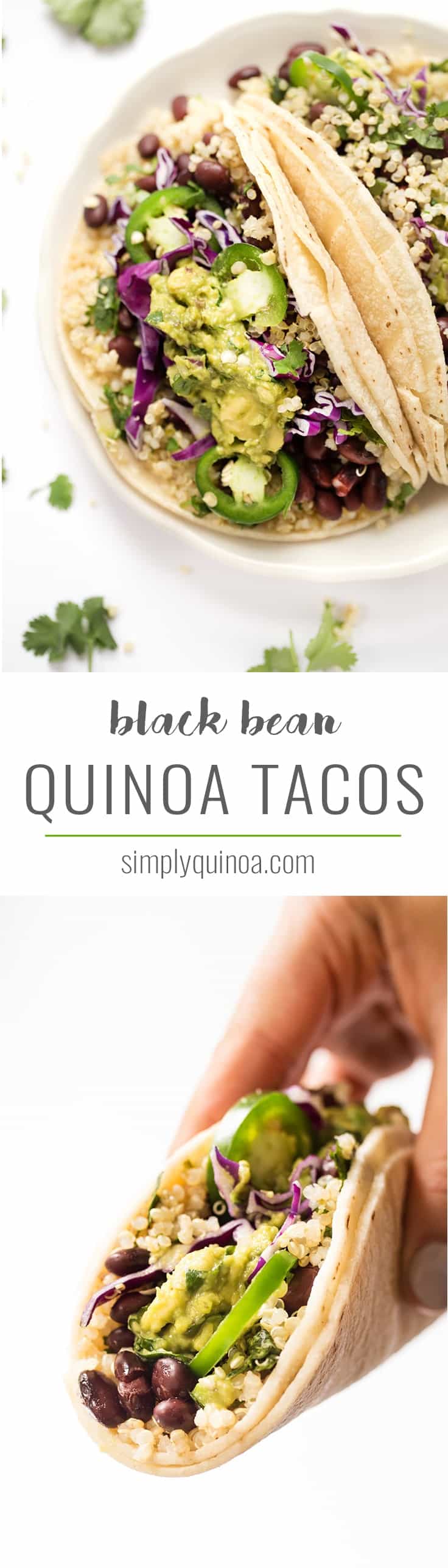 These HEALTHY black bean quinoa tacos are the perfect recipe for summer! Cilantro-lime quinoa and fresh guacamole make these tacos light and flavorful!