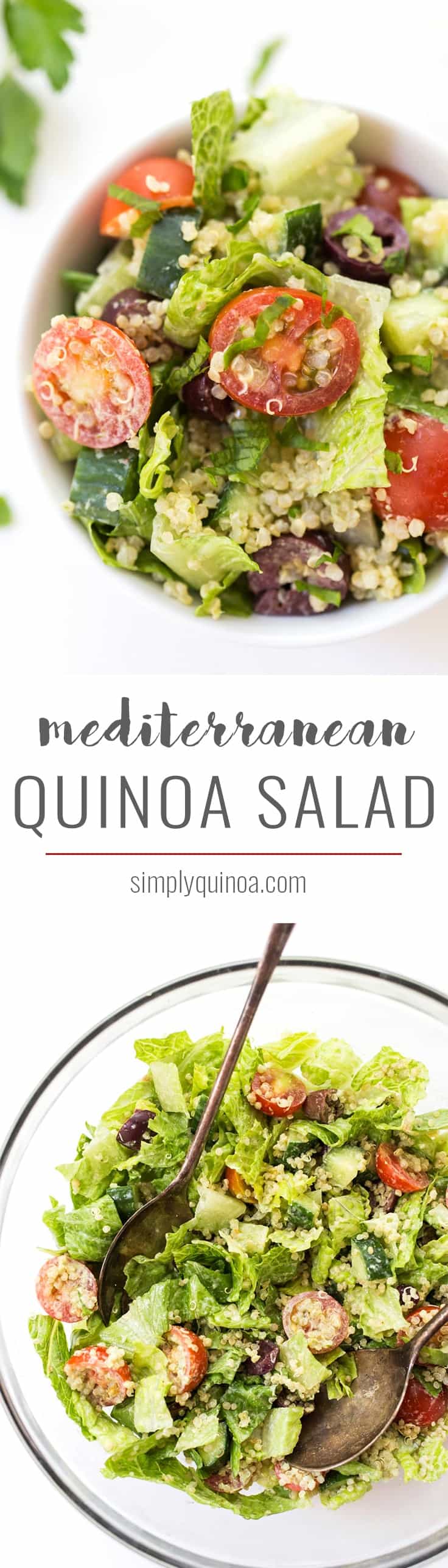 Mediterranean Quinoa Salad with chopped romaine, cherry tomatoes, cucumbers, olives and a creamy herbed tahini dressing!