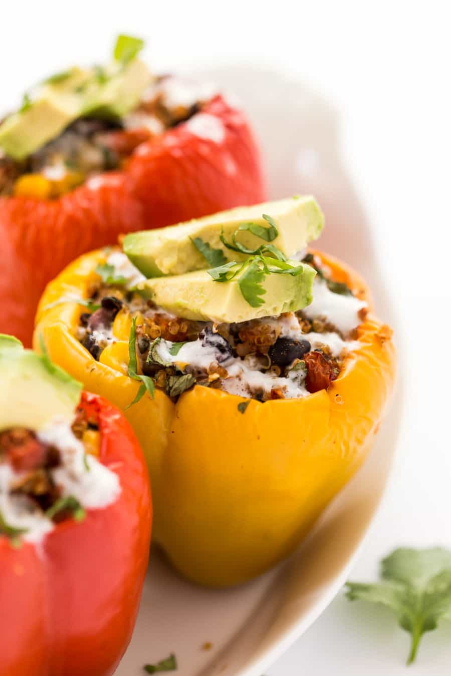 A close-up of Mexican Quinoa Stuffed Peppers. They are resting on a white plate and covered in herbs and avocado. 