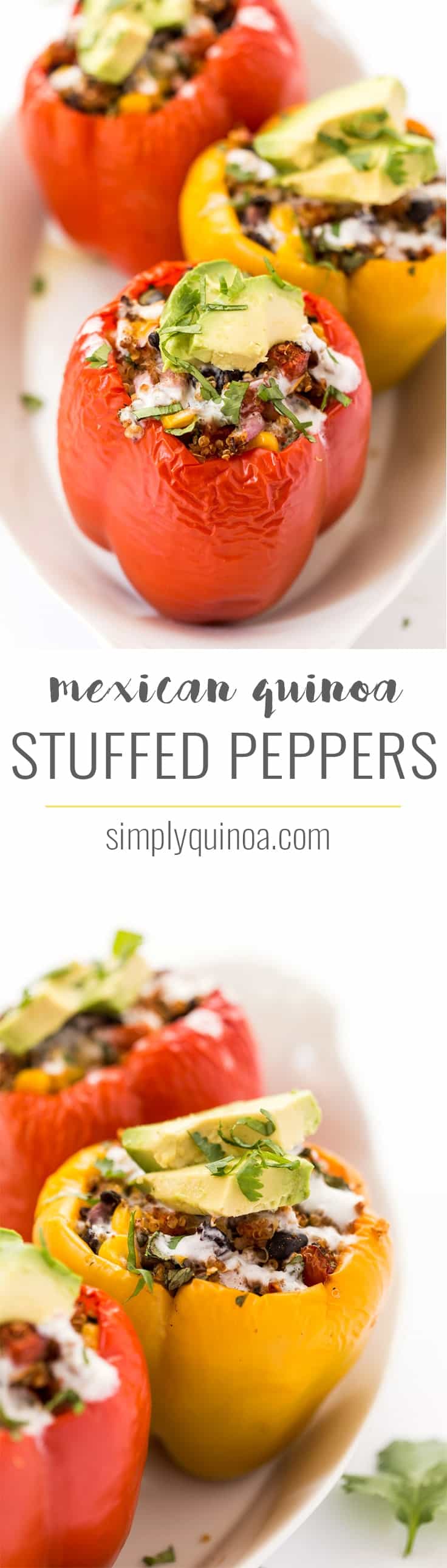 These delectable MEXICAN QUINOA STUFFED PEPPERS are a hearty, plant-based entree that is easy to make, packed with flavor and doubles as a great meal-prep option as well!