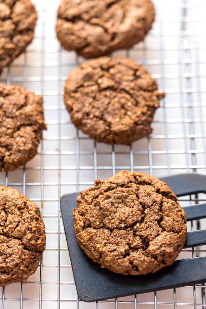 Chewy Ginger Molasses Cookies -- healthy, just one bowl and VEGAN!